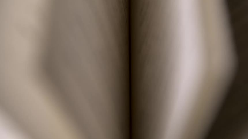 The pages of an open booked are flipped one after the other
