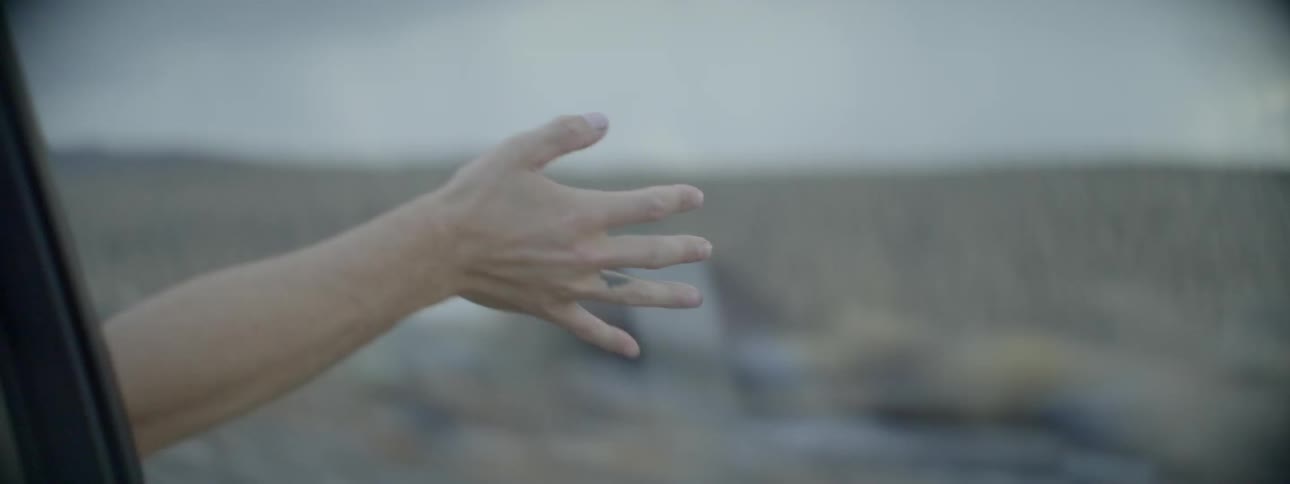 A car passenger holds their arm out the window of a moving vehicle