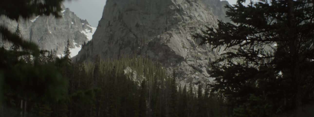 A tall mountain is past these trees