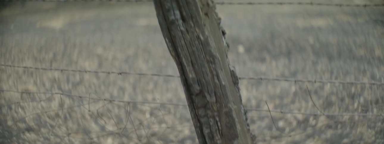 A fence is blocking off a field with dead leaves