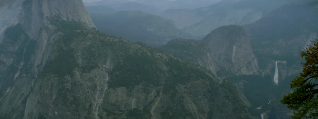 The mountains are covered with green and fog