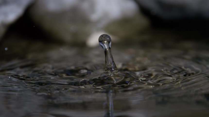 A single drop of water falls in slow motion striking the surface and creating a delicate splash and concentric ripples