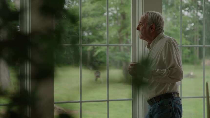 An elderly man stands next to a large window and stares outside