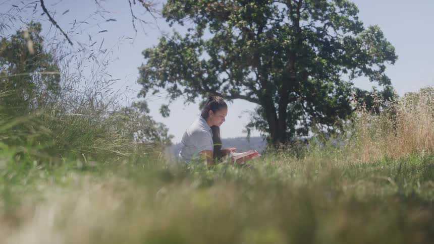 A woman sits on the ground reading a red book in an outdoor field tall grass fills the foreground a large green tree is visible in the background and the sky is bright
