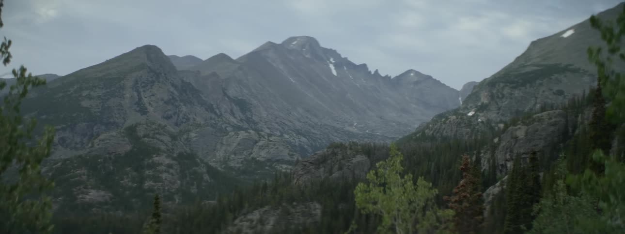 Trees cover a mountainside
