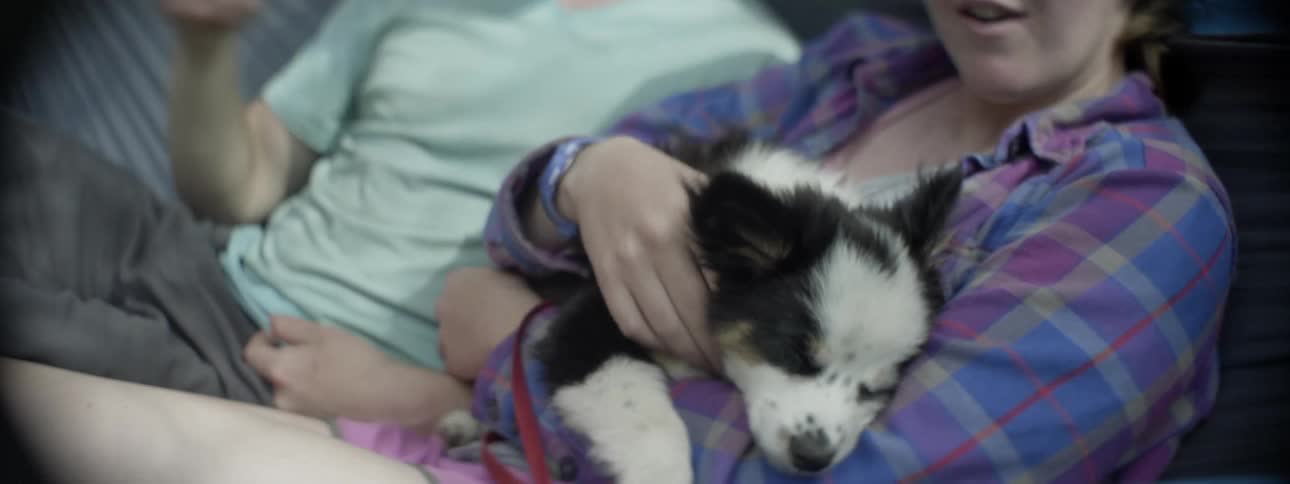 A woman holds a sleeping puppy