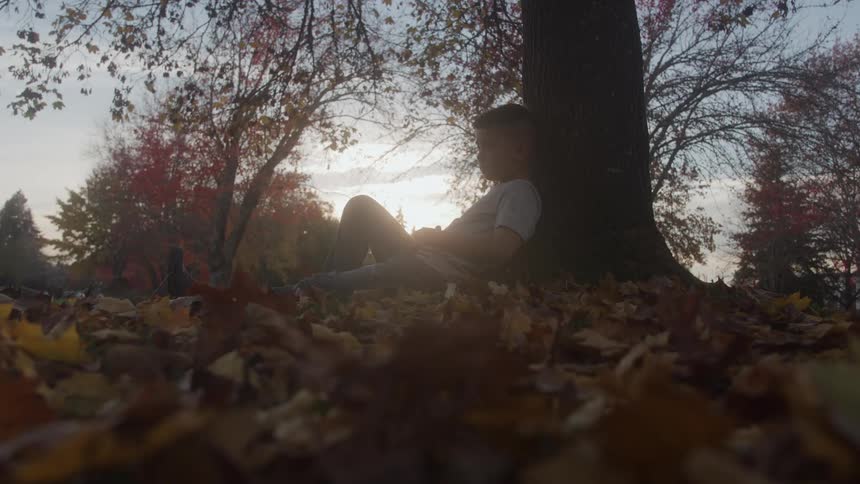 The video is a lowangle shot of a person sitting alone on the ground under a large tree with bright sunlight streaming through the autumn foliagethe foreground is covered with a thick layer of crisp fallen leaves creating a warm earthy frame for th
