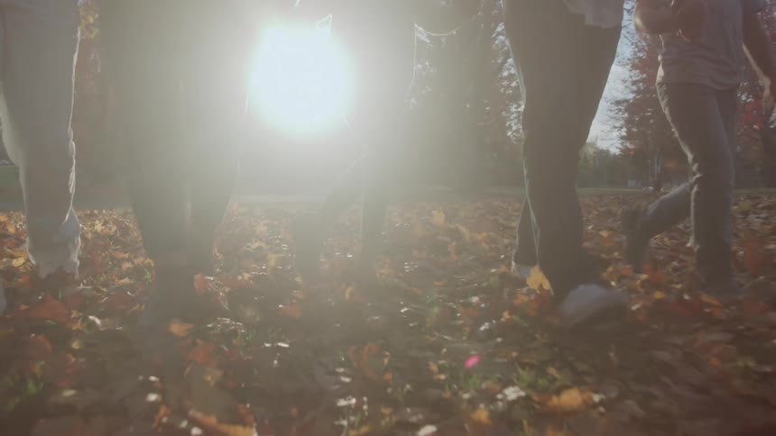 The family walk over leaves while holding hands in the park