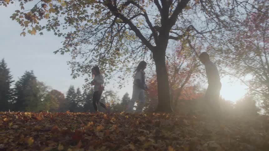 Three children throwing yellow autumn leaves at each other outdoors