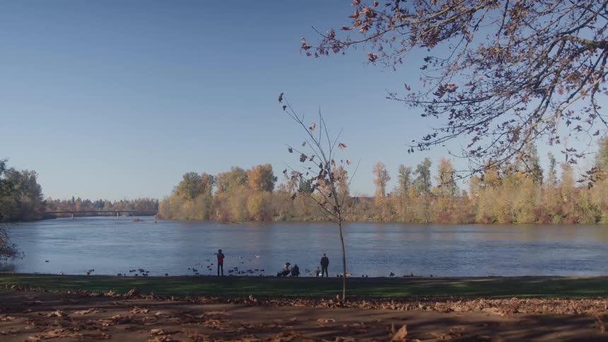 People feeding ducks and enjoying time at a riverside park with autumn trees