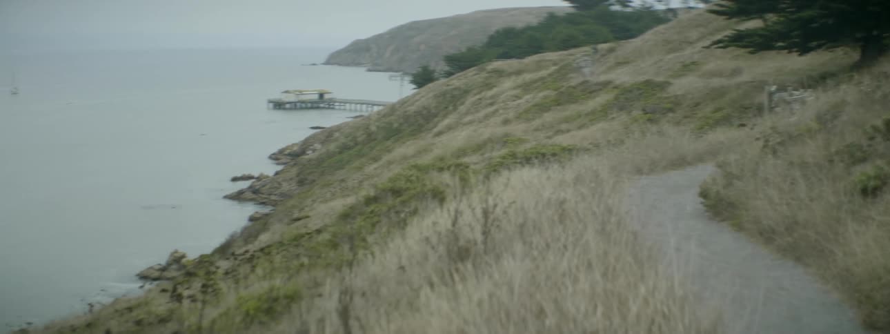 A grassy hill borders the ocean