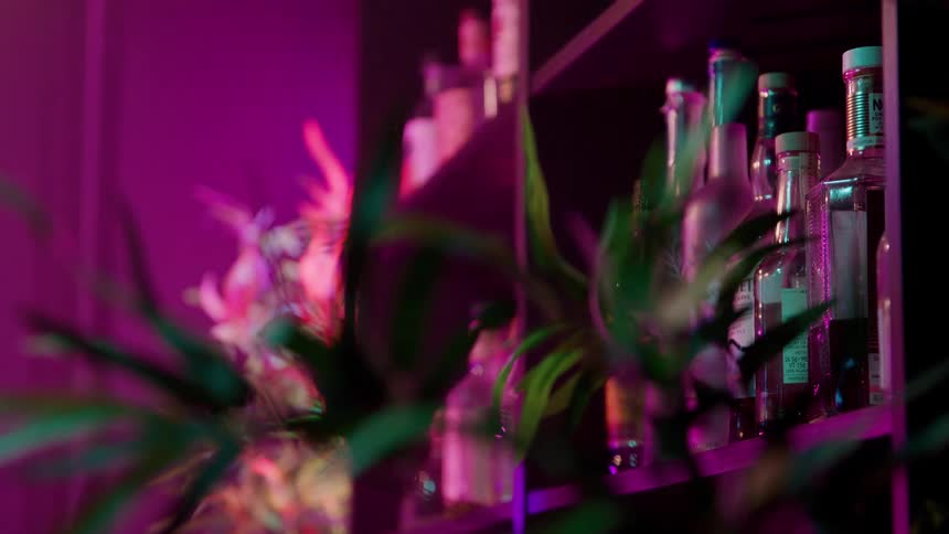 A bookshelf with bottles and some plants in color changing light