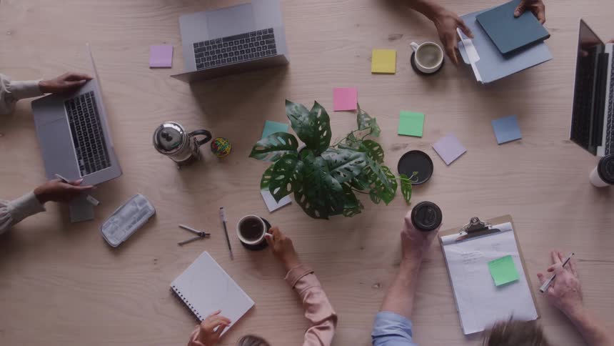 People working at a table with laptops notebooks and coffees around a plant