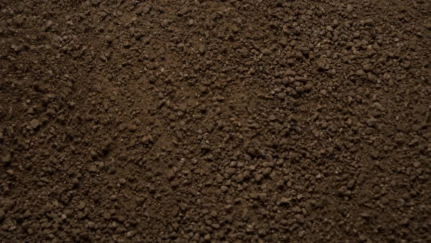 The dirt shakes and jumps up