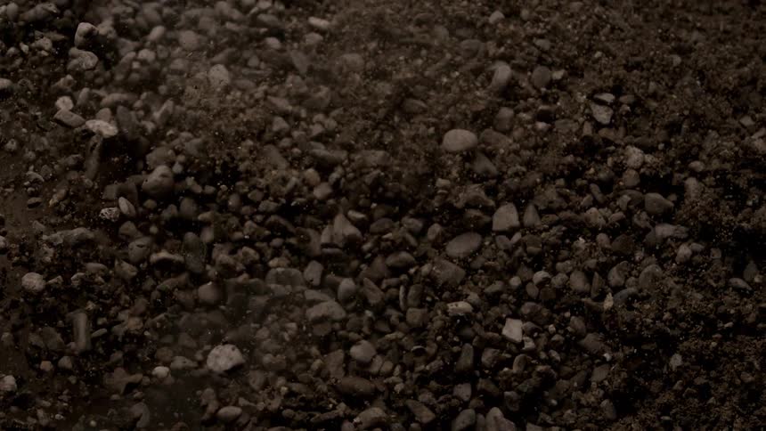 A soil with several small stones that are moving and making the earth rise