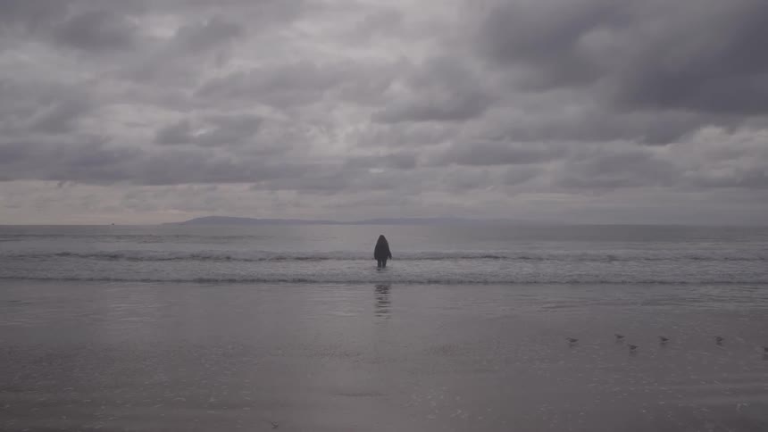 Person wearing bulky clothes stands silhouetted in the surf as a flock of birds runs across the beach