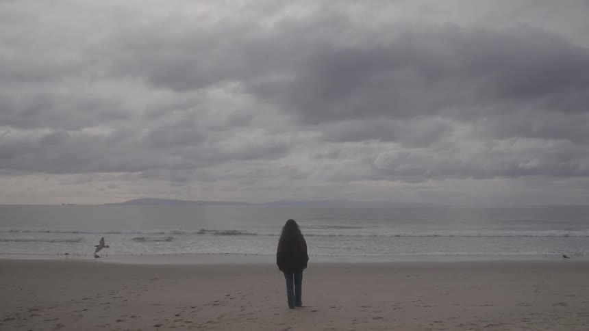 Woman stands on the beach on a foggy overcast day while a bird flies past