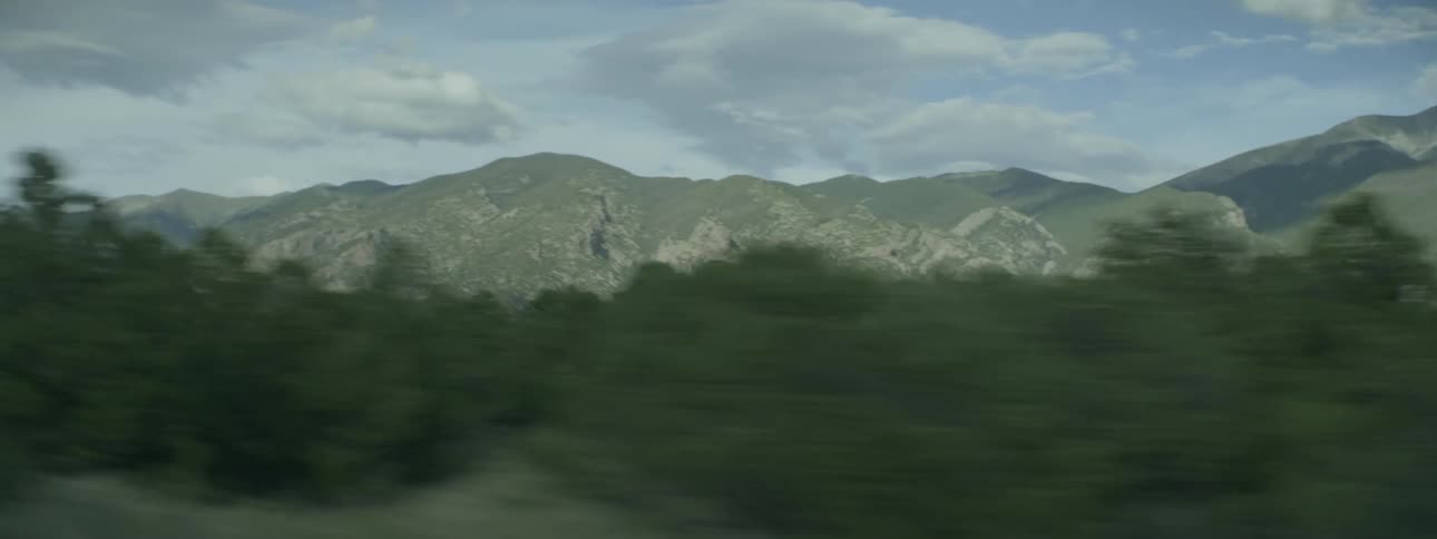 Green trees and distance mountains pass by quickly through a car window