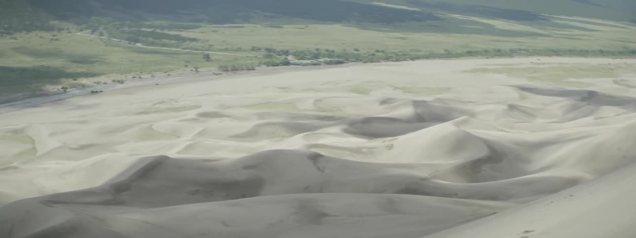View of sand dunes and grass