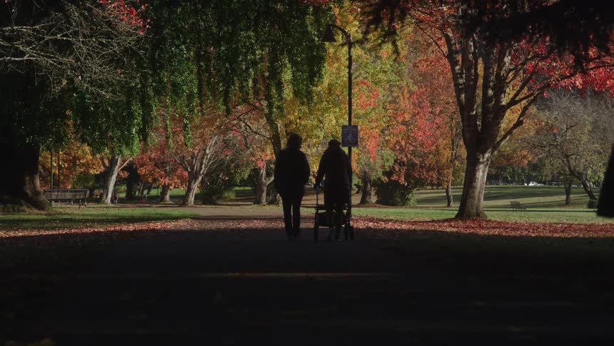 A fullframe shot shows two people walking away from the camera down a treelined park path in the autumn the path is deeply shadowed contrasting with the vibrant red yellow and green foliage brightly lit by the sunlight above