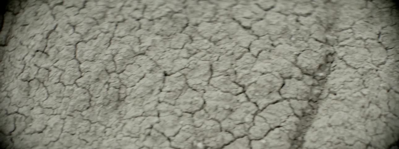 Close up of dry cracked earth