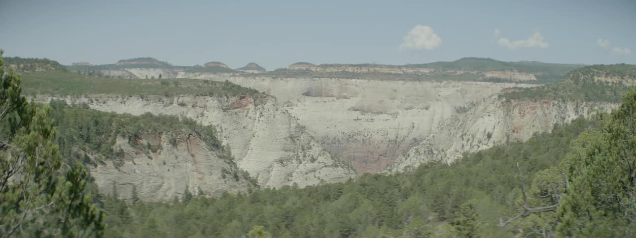 A row of mountains are covered with trees