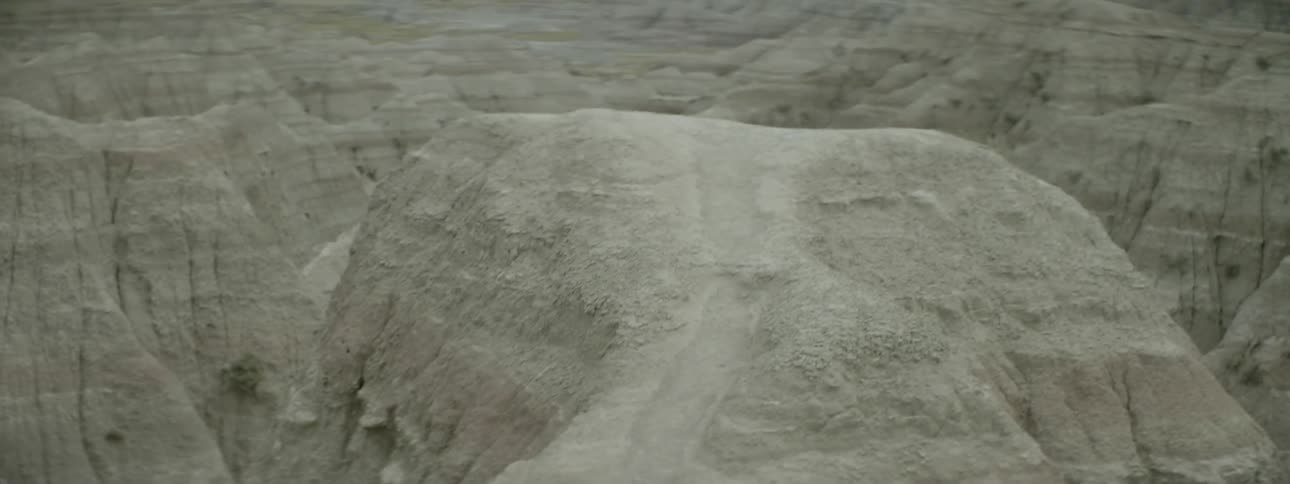 A canyon stretches out in the distance