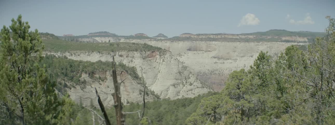 A canyon in shown in the wilderness