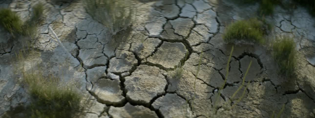 Dry cracked ground with patches of grass