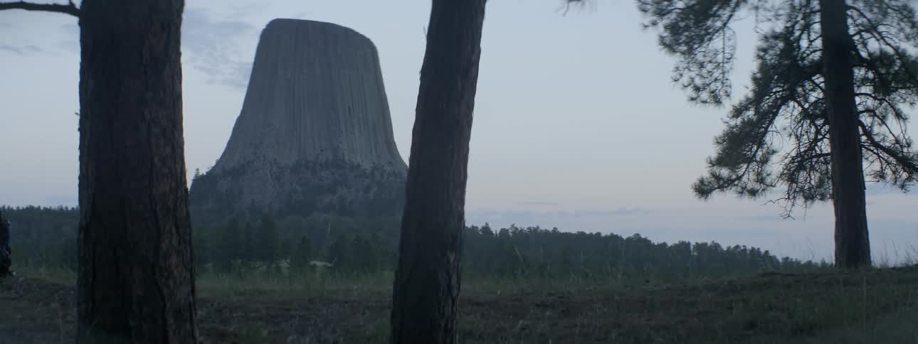 A tall rock formation sits behind these trees ahead