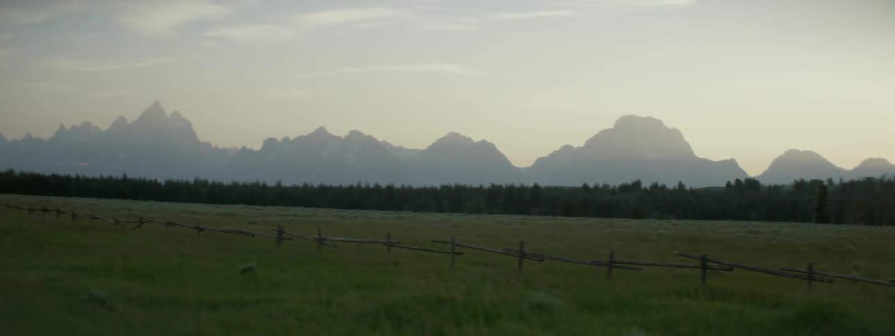 A wooden fence lines this field