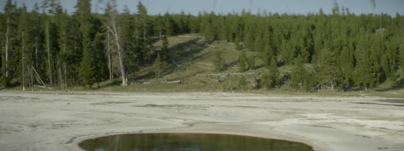 A small steaming body of water near some woods