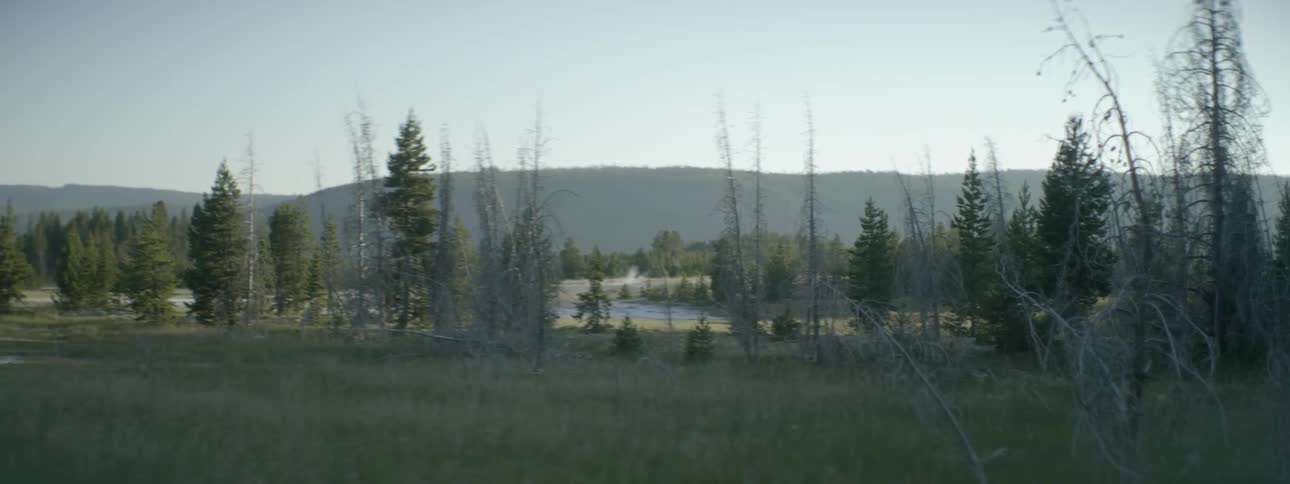 Steam rises from the ground ahead in the wilderness