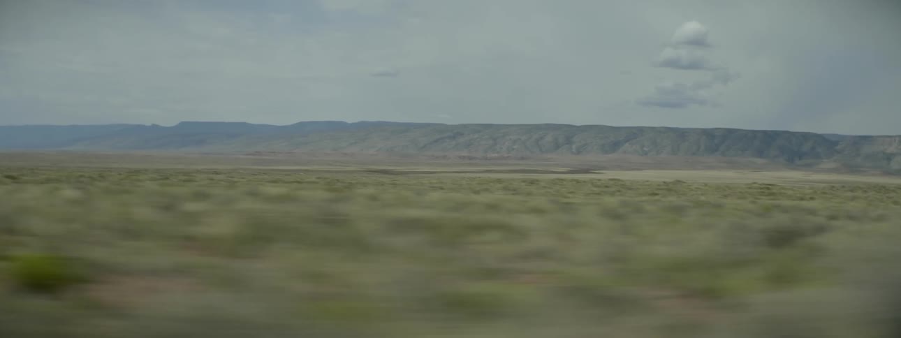 Traveling view of a large brushy field
