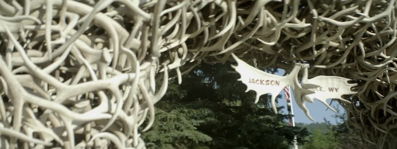 An arch of horns leads to a park