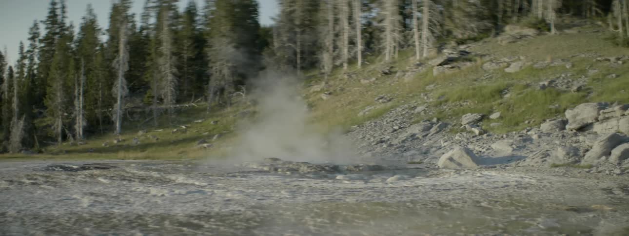 A small geyser near a forest
