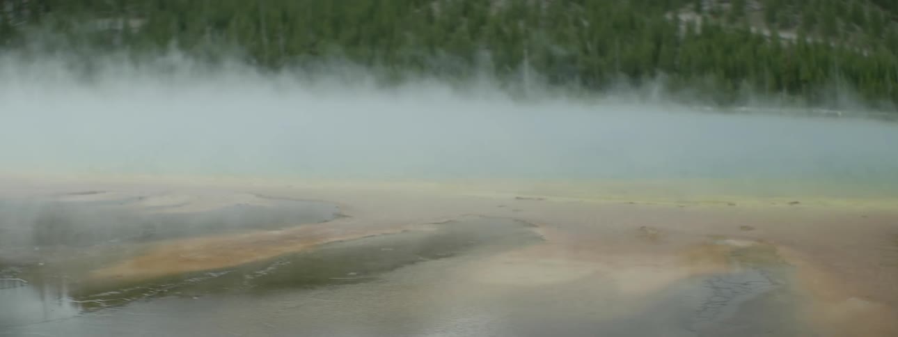 Fog rolls over the water by the forest