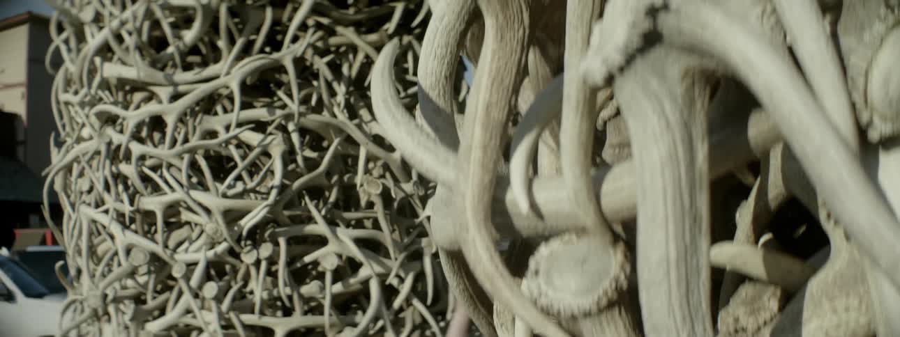 A structure is made from deer antlers