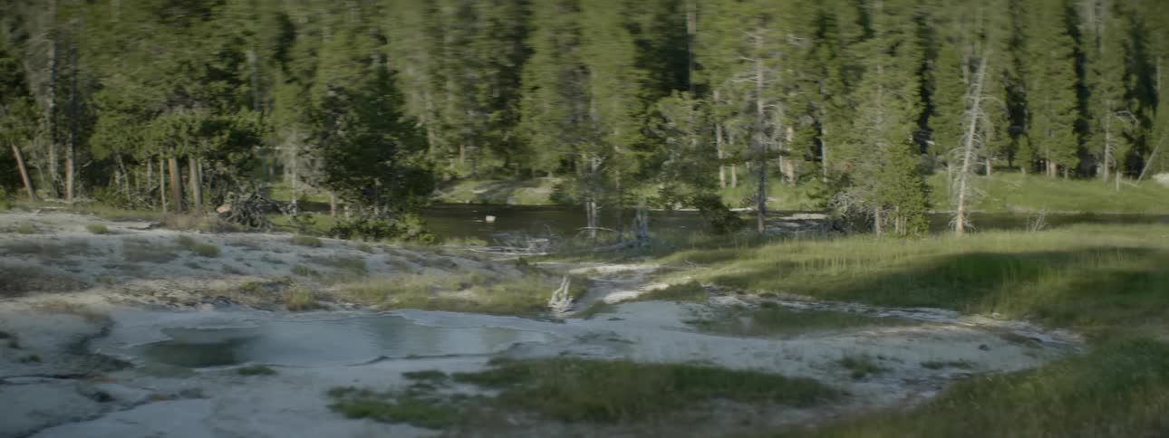 Snow sits on the ground in the wilderness
