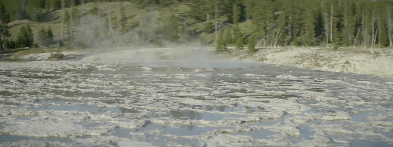 Steam is rising from this wetland area
