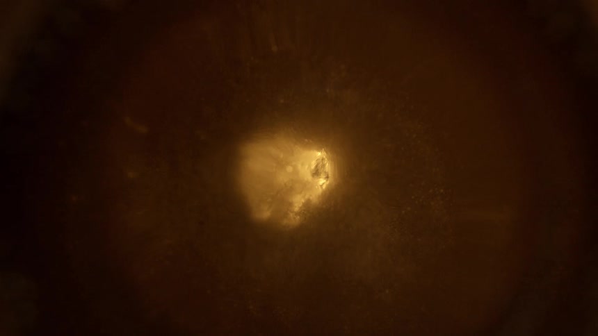 Drop of golden liquid falling onto a viscous surface