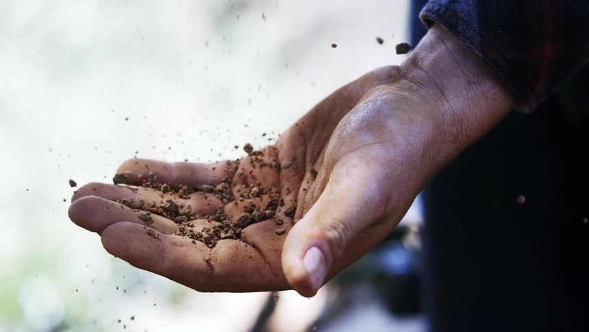 A closeup shot focuses on a dirty outstretched hand covered in soil as small bits of dirt fall onto the palm the scene is bright possibly outdoors with a blurry background