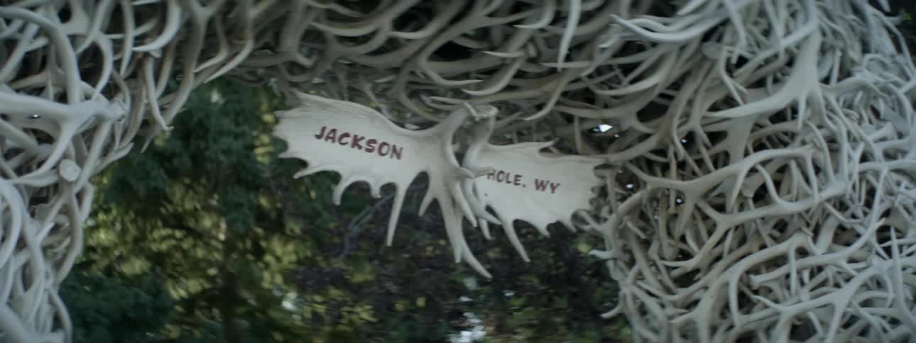 A sign is made of horns on this entry