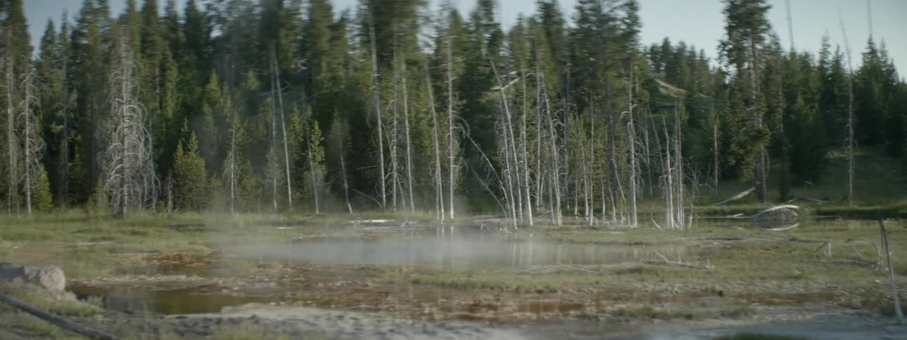 Steam rises off a small body of water in the forest