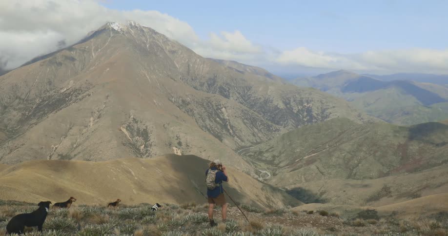 A hiker accompanied by several dogs stands on a high ridge overlooking a vast and rugged mountain range with a snow capped peak