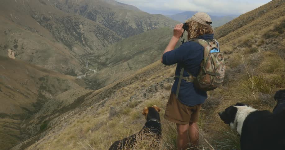 The video shows a person with a backpack and a cap standing on a steep grassy slope in a mountainous region looking out over a deep valley they are surrounded by two dogs and the person lifts a pair of binoculars to survey the expansive rugged landsc