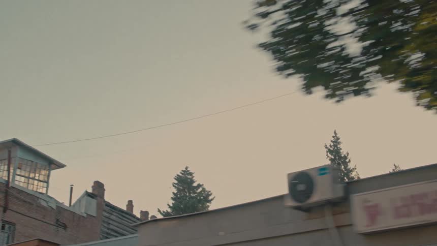 Old brick building partially obscured by moving branches