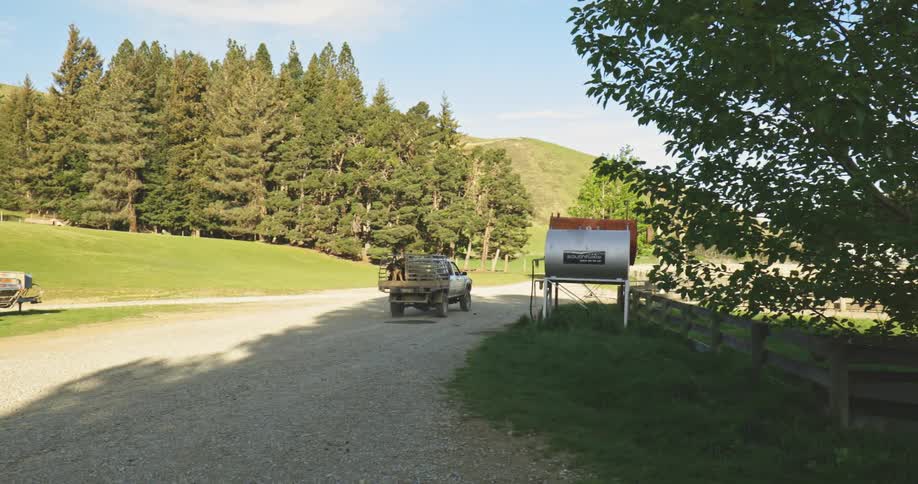 A white pickup truck with sheep contained in a crate in the bed drives along a gravel farm road and away from the camera passing various farm structures and green hills lined with pine trees