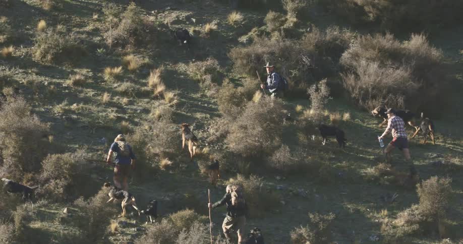 A group of men is hiking up a mountain with several dogs