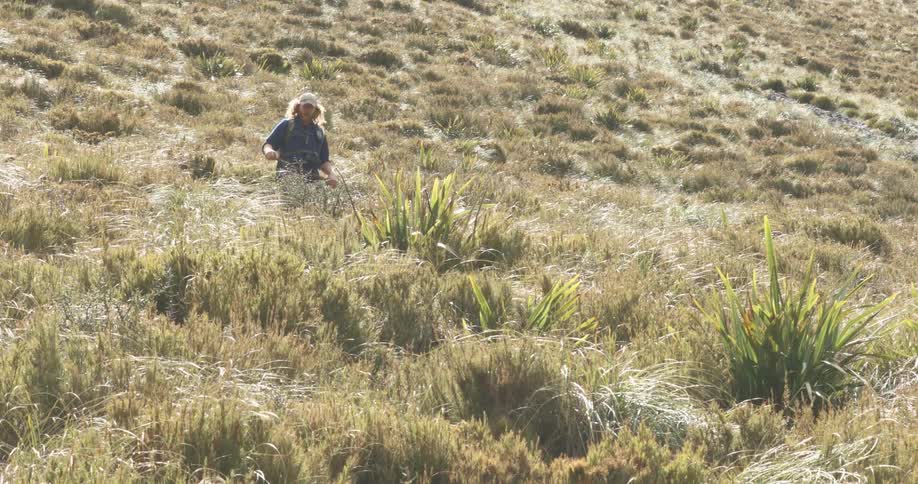 A man is holding a stick as he hikes through bushes
